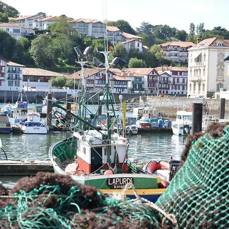 Belarra *