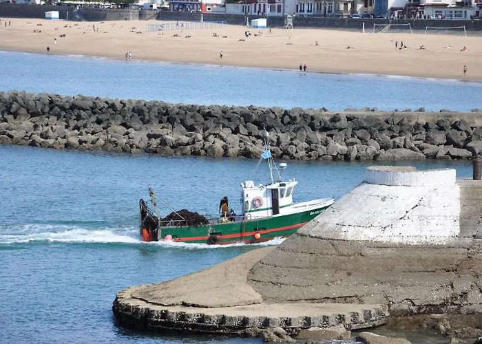 Ξενοδοχείο με διαμερίσματα Belarra *